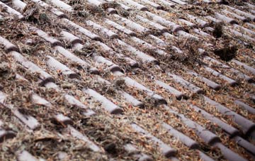 Hogha Gearraidh roof cleaning companies